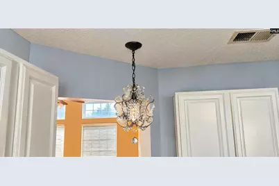 132 Kerry Gibbons Drive, Chapin, SC 29036 - Photo 16