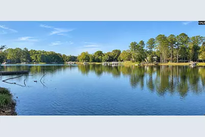 132 Kerry Gibbons Drive, Chapin, SC 29036 - Photo 10