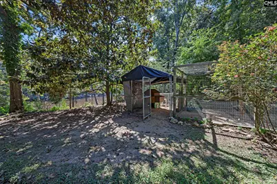 1113 Three Dog Road, Chapin, SC 29036 - Photo 40