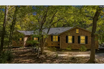 1113 Three Dog Road, Chapin, SC 29036 - Photo 1