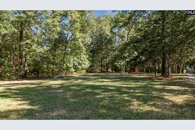 1113 Three Dog Road, Chapin, SC 29036 - Photo 48