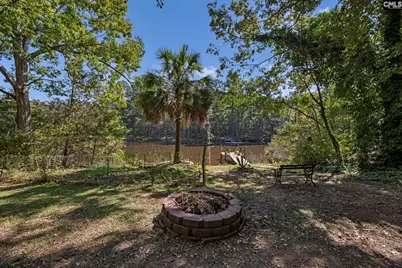 1113 Three Dog Road, Chapin, SC 29036 - Photo 36