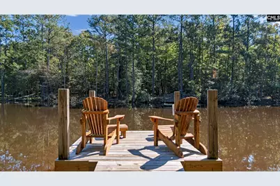 1113 Three Dog Road, Chapin, SC 29036 - Photo 38