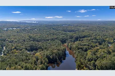 1113 Three Dog Road, Chapin, SC 29036 - Photo 46