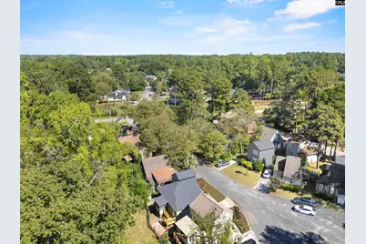 110 Walnut Creek Court, Lexington, SC 29073 - Photo 34