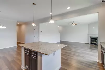 441 N Cobia Court, Irmo, SC 29063 - Photo 10