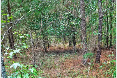 0000 Line Road 7 #7, Elgin, SC 29045 - Photo 28