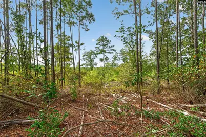 0000 Line Road 7 #7, Elgin, SC 29045 - Photo 38