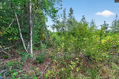 0000 Line Road 7 #7, Elgin, SC 29045 - Photo 34