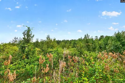 0000 Line Road 13 #13, Elgin, SC 29045 - Photo 40