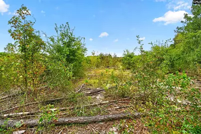 0000 Line Road 13 #13, Elgin, SC 29045 - Photo 32