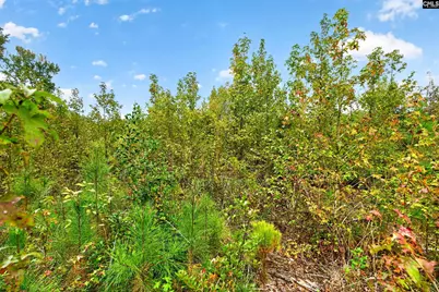 0000 Line Road 13 #13, Elgin, SC 29045 - Photo 30