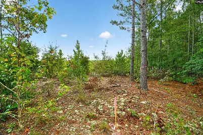 0000 Line Road 13 #13, Elgin, SC 29045 - Photo 34