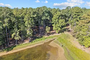 438 Peninsula Dr, Prosperity, SC 29127 - Photo 54