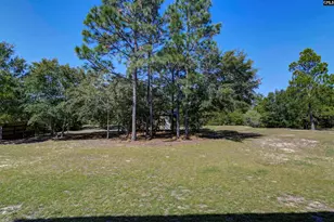 226 Crassula Dr, Lexington, SC 29073 - Photo 68