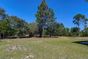 226 Crassula Dr, Lexington, SC 29073 - Photo 2