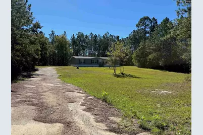 160 Hollow Stump Road, Pelion, SC 29123 - Photo 2