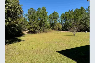 160 Hollow Stump Road, Pelion, SC 29123 - Photo 16