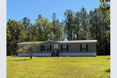 160 Hollow Stump Road, Pelion, SC 29123 - Photo 4