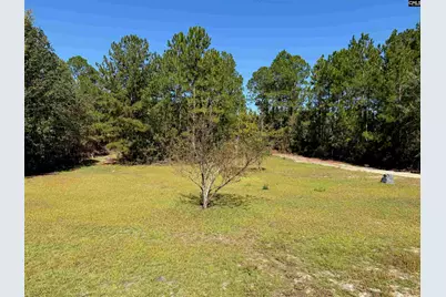 160 Hollow Stump Road, Pelion, SC 29123 - Photo 18