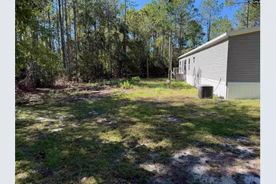 160 Hollow Stump Road, Pelion, SC 29123 - Photo 12