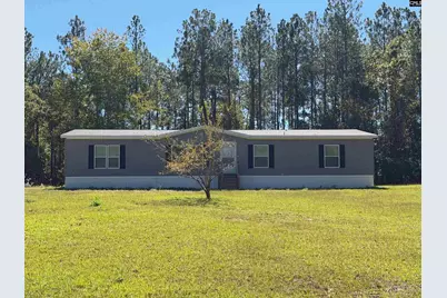 160 Hollow Stump Road, Pelion, SC 29123 - Photo 1
