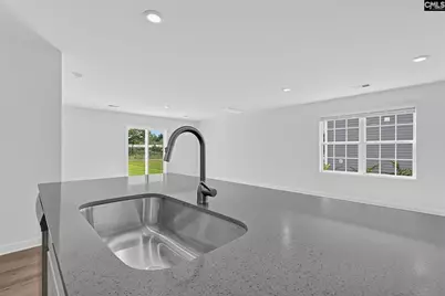 2020 Dipsody Boulevard, Pelion, SC 29123 - Photo 24