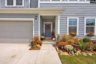 149 Monroe Preserve Drive, Chapin, SC 29036 - Photo 2