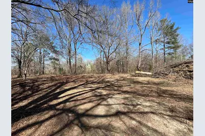 88C Tombfield Road, Camden, SC 29020 - Photo 18