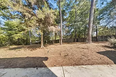 104 Jonathan Lane, Irmo, SC 29063 - Photo 20