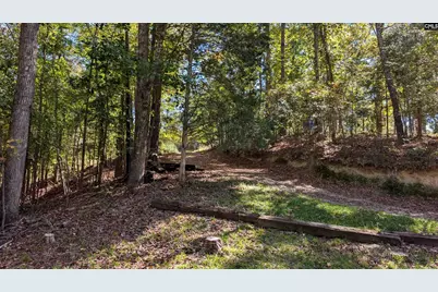 275 Kingfisher Drive, Ridgeway, SC 29130 - Photo 26