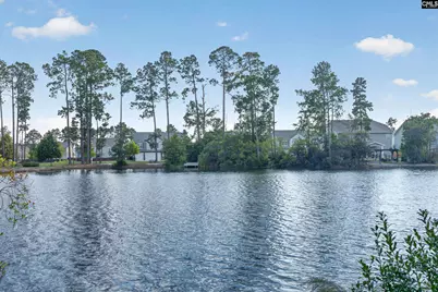 552 Rimer Pond Road, Blythewood, SC 29016 - Photo 4