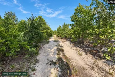 0 Lot 3 Old Georgetown Road, Cassatt, SC 29032 - Photo 8