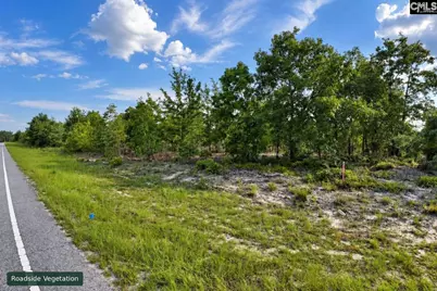 0 Lot 3 Old Georgetown Road, Cassatt, SC 29032 - Photo 2