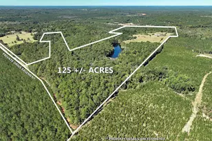 801 Piney Branch Rd, Eastover, SC 29044 - Photo 1