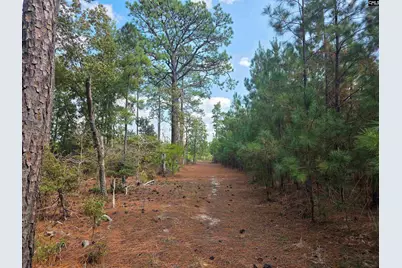 801 Piney Branch Road, Eastover, SC 29044 - Photo 54