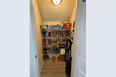 1218 White Chicory Court, Lexington, SC 29073 - Photo 6
