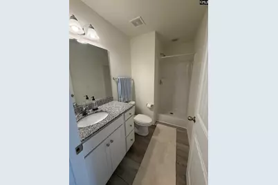 1218 White Chicory Court, Lexington, SC 29073 - Photo 12
