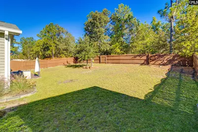 116 Baneberry Drive, Lexington, SC 29073 - Photo 34