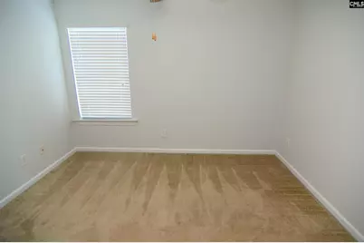 104 Saluda Springs Court, Lexington, SC 29072 - Photo 26
