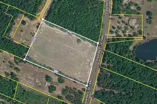 0 Bethea Rd, Orangeburg, SC 29115 - Photo 1
