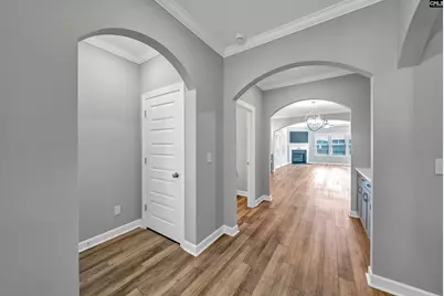 2643 Pawtucket Way, Chapin, SC 29036 - Photo 10