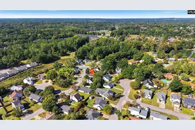 542 Chisolm Way, Lexington, SC 29073 - Photo 46
