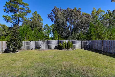 517 Grove Blossom Court, Elgin, SC 29045 - Photo 48
