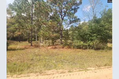 Tbd Elijah Lane, Pelion, SC 29123 - Photo 2