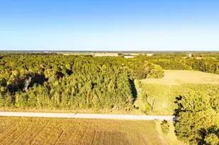 1675 Manville Saint Charles Rd, Bishopville, SC 29010 - Photo 1