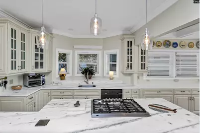 306 Lands End Drive, Chapin, SC 29036 - Photo 12