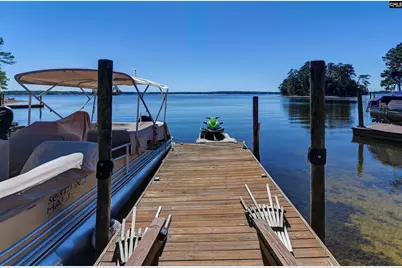 306 Lands End Drive, Chapin, SC 29036 - Photo 2