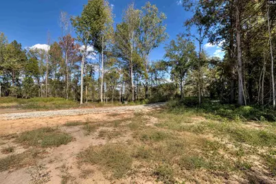 2605 Fossil Lane Na, Dalzell, SC 29153 - Photo 60