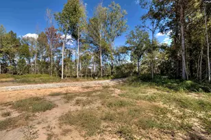 2605 Fossil Ln Na, Dalzell, SC 29153 - Photo 60